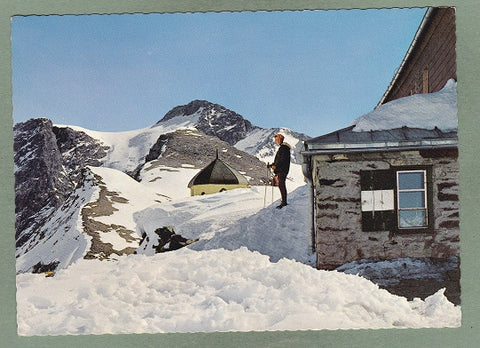 AK Mallnitz. Blick vom Hannoverhaus auf der Arnoldhöhe gegen Ankogel.