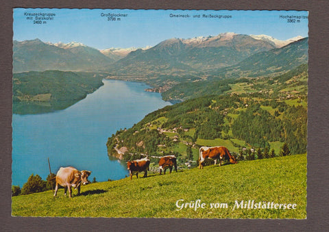AK Blick vom Gschriet zum Millstättersee. (Döbriach)