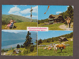 AK Lammersdorferhütte. Millstätteralpe.