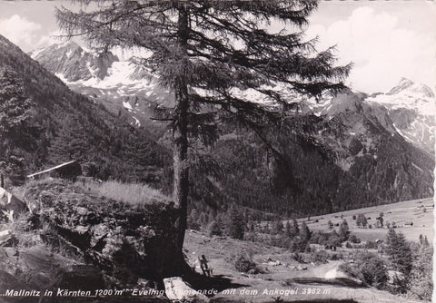 AK Mallnitz. Eveling-Promenade mit dem Ankogel.