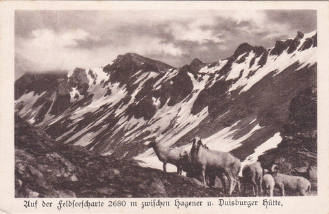 AK Auf der Feldseescharte zwischen Hagener und Duisburger Hütte.