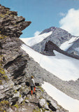 AK Mallnitz. Am Göttingersteig beim Hannoverhaus. Blick auf Ankogel.