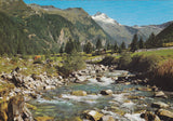 AK Mallnitz. Idyll im Seebachtal, dahinter Ankogel.