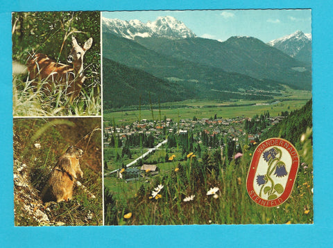 AK Steinfeld im Drautal.