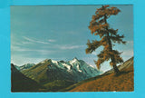 AK Grossglocknerblick.