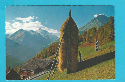 AK Grossglockner Hochalpenstrasse mit Grossglockner. Südrampe Bauernhof mit Getreideharpfe.