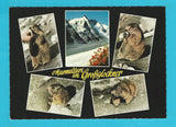 AK Murmeltiere am Grossglockner.