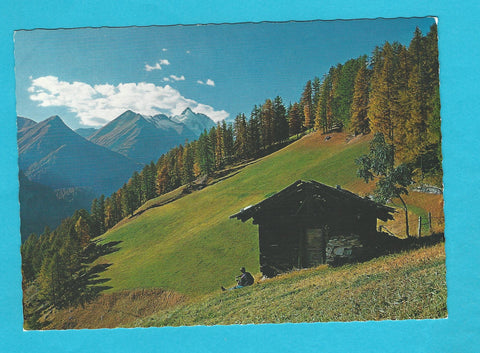 AK Grossglockner Hochalpenstrasse mit Grossglockner. Südrampe - Almwiese bei Heiligenblut.