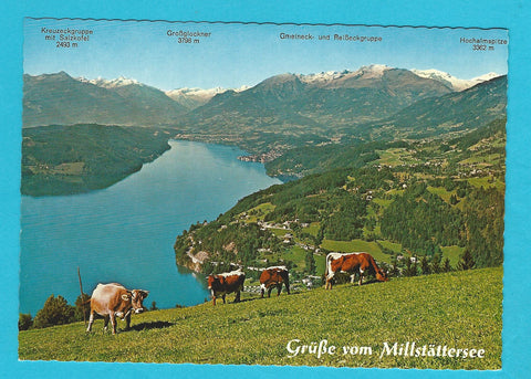 AK Grüße vom Millstättersee.