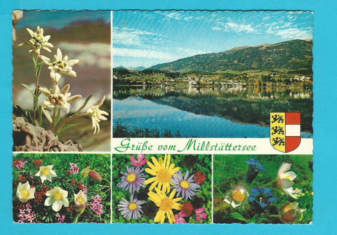 AK Grüße vom Millstättersee.