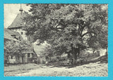 AK Millstatt, Alte Linde. 1886, H. Darnaut.