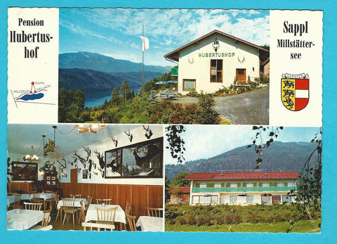 AK Millstatt. Pension Hubertushof Dr. Gustav Lackenbucher. Sappl am Millstättersee.