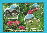 AK Lammersdorfer Hütte. Familie Schmölzer. Millstatt - Grantsch 2.