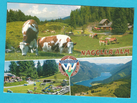 AK Naggleralm. Weissensee. Familie Unterköfler.