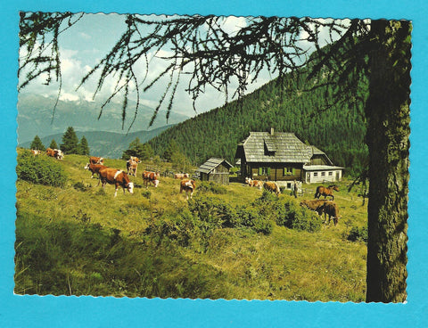 AK Weissensee. Alm hinter'm Brunn'.