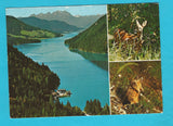 AK Weißensee. Blick vom Ostufer gegen Westen. Gasthof u. Jausestation Dolomitenblick.