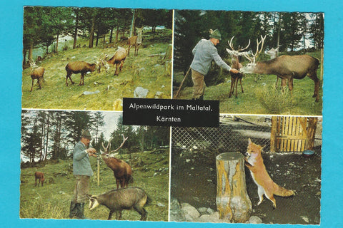 AK Alpenwildpark im Maltatal.