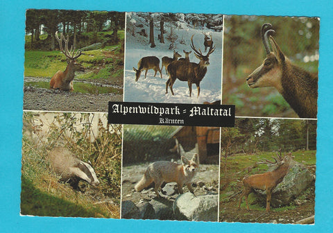 AK Alpenwildpark Maltatal.