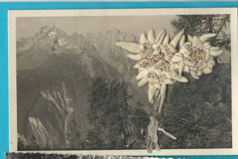 AK Die Unholden vom Ziefenweg (Hochstadelgruppe) bei Oberdrauburg. Mit Edelweiss.