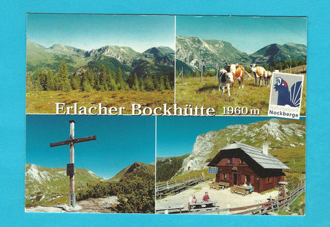 AK Erlacher Bockhütte. Kaning. Familie Erlacher.