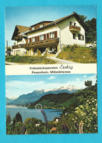 AK Pesenthein 9. Millstatt. Frühstückspension Eschig.