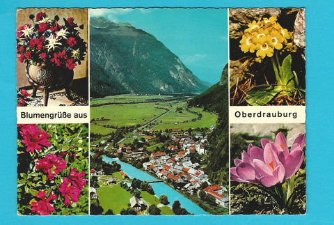 AK Blumengrüße aus Oberdrauburg.