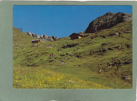 AK Seespitzhütte am Blumenweg bei St. Jakob im Defereggental.