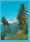 AK Blick vom Stallersattel auf den Antholzer See.