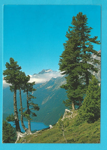 AK Blick vom Stallersattel auf den Antholzer See.