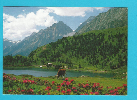 AK Wanderparadies am Obersee. Oberseehütte am Stallersattel.