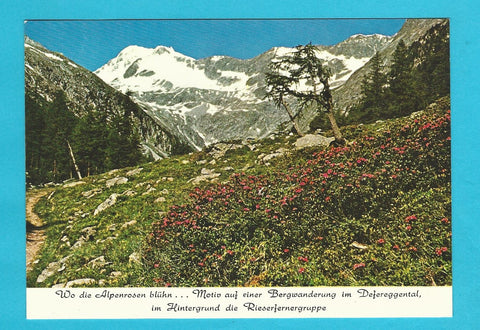 AK Almweg in Richtung Rieserfernergruppe Defereggental.