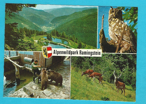 AK Alpenwildpark Ramingstein.