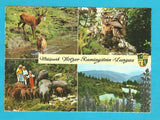 AK Wildpark Holzer Ramingstein.