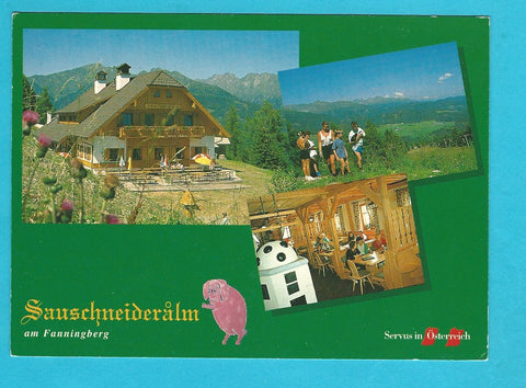 AK Sauschneideralm am Fanningberg. (1993)
