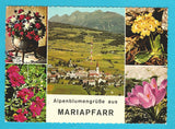 AK Alpenblumengrüße aus Mariapfarr.