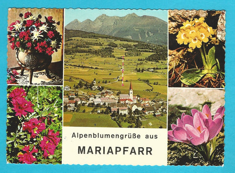 AK Alpenblumengrüße aus Mariapfarr.