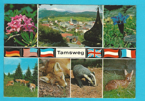 AK Tamsweg.