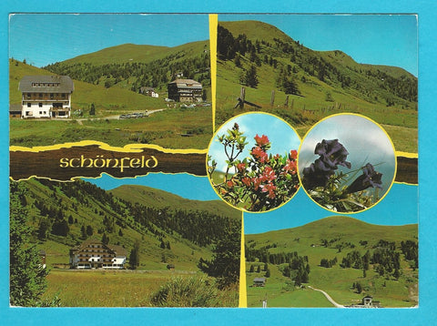 AK Schönfeld.