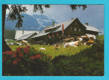 AK Zederhaus. Königalm. Fam. Gfrerer.