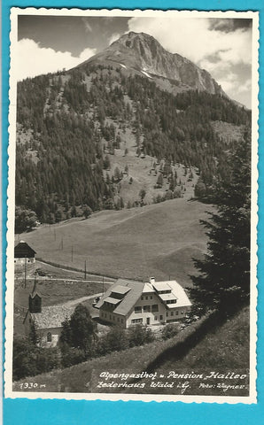 AK Zederhaus. Alpengasthof u. Pension Haller. Wald.