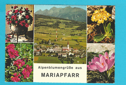 AK Alpenblumengrüße aus Mariapfarr.