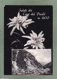 AK Saluti da Cave del Predil.