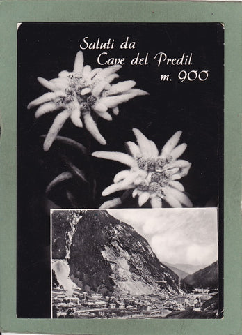 AK Saluti da Cave del Predil.