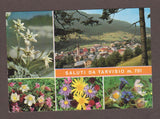 AK Saluti da Tarvisio.