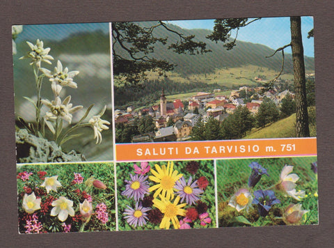 AK Saluti da Tarvisio.