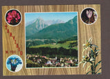 AK Tarvisio.