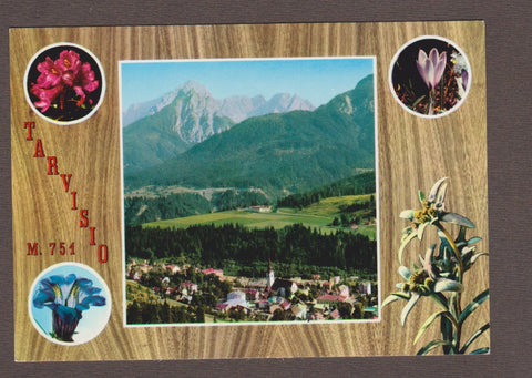 AK Tarvisio.