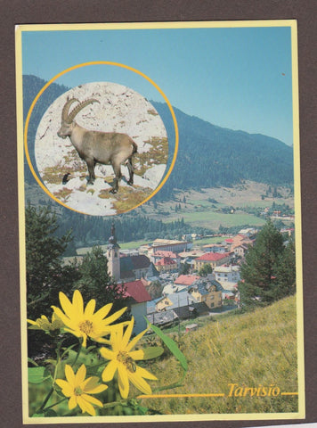 AK Tarvisio.