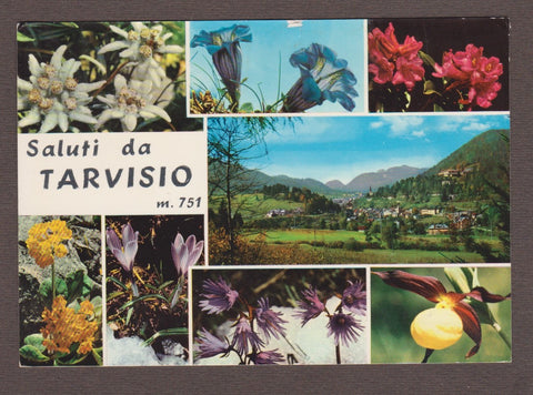 AK Saluti da Tarvisio.
