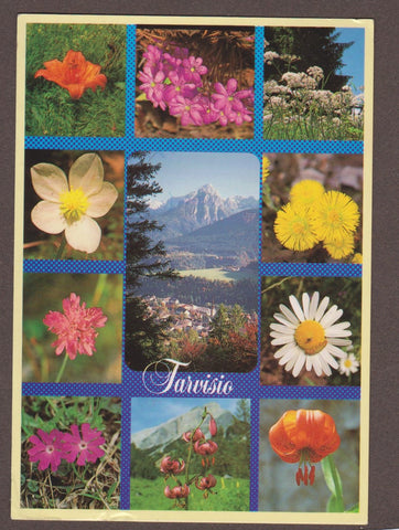 AK Tarvisio.